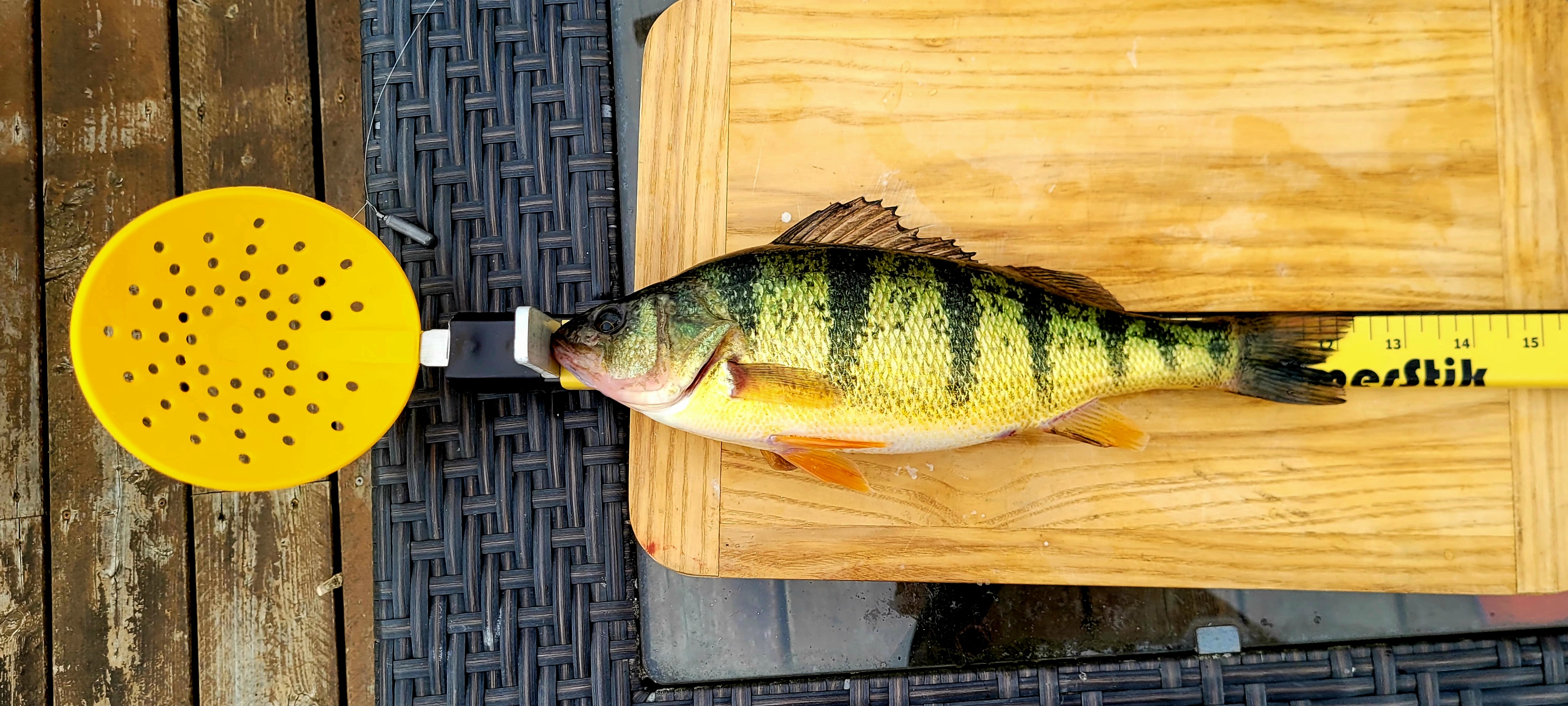 22" Panfish SkimmerStik Stock:026